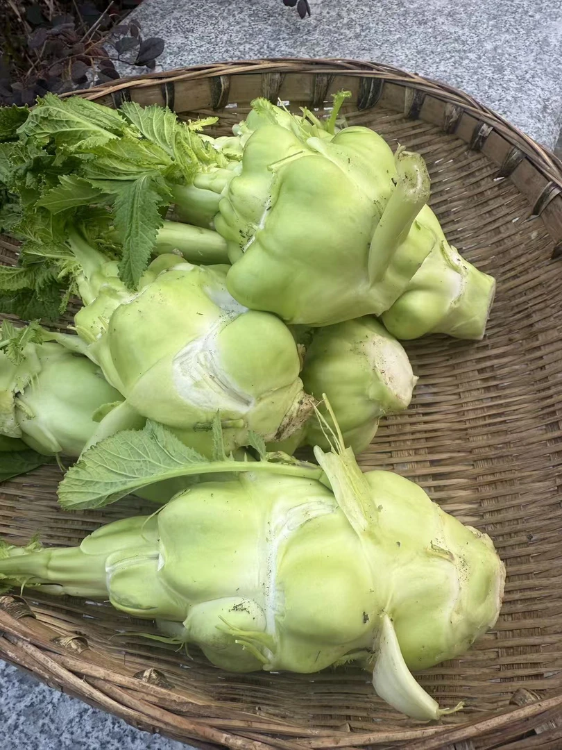 湖北新鲜榨菜头3/5斤农家自种时令蔬菜现摘现发