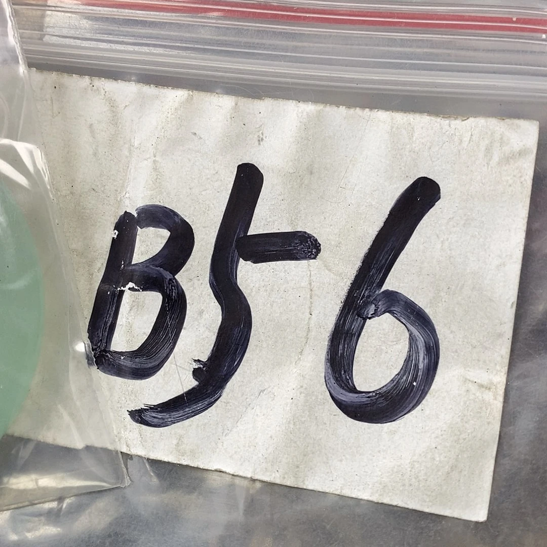 吊坠龙脊菩提雄**道德宝文玩直播间专属链接