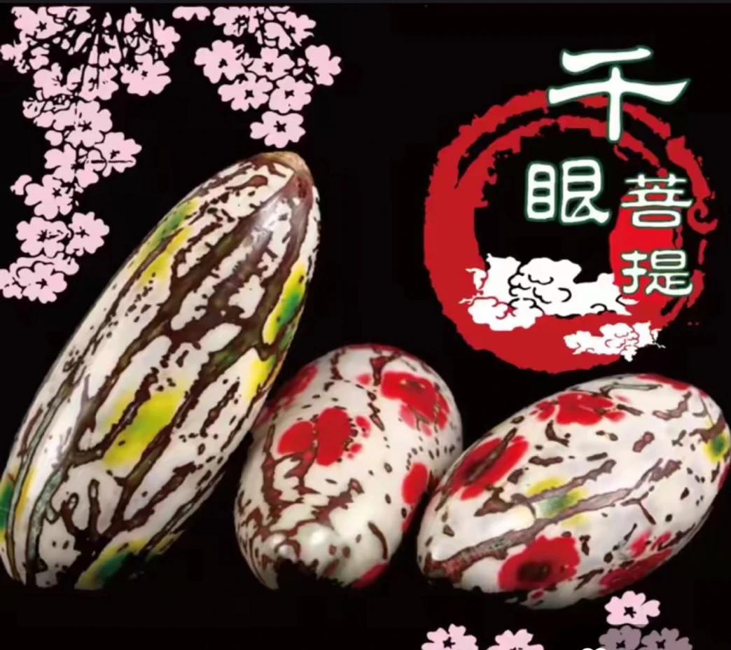 精品千眼菩提彩果【创意饰品】