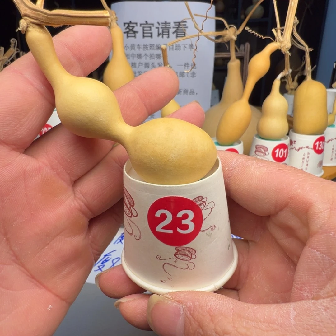 闪电购自助下单编号23皮不干净