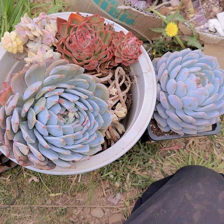 凌***g你在那里上班呀现在干什么呀怎么