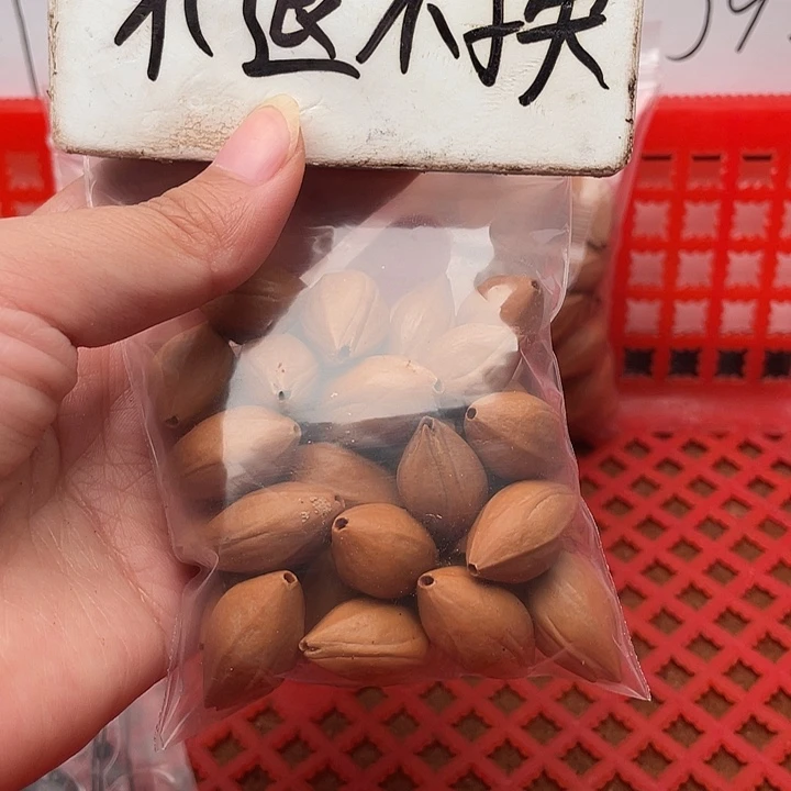 橄榄核手串/手链橄榄