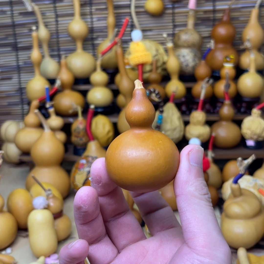 老红皮小美厚皮响籽19