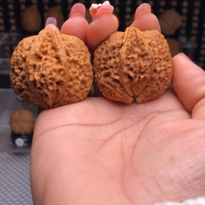 橄榄核吊坠18生命之源