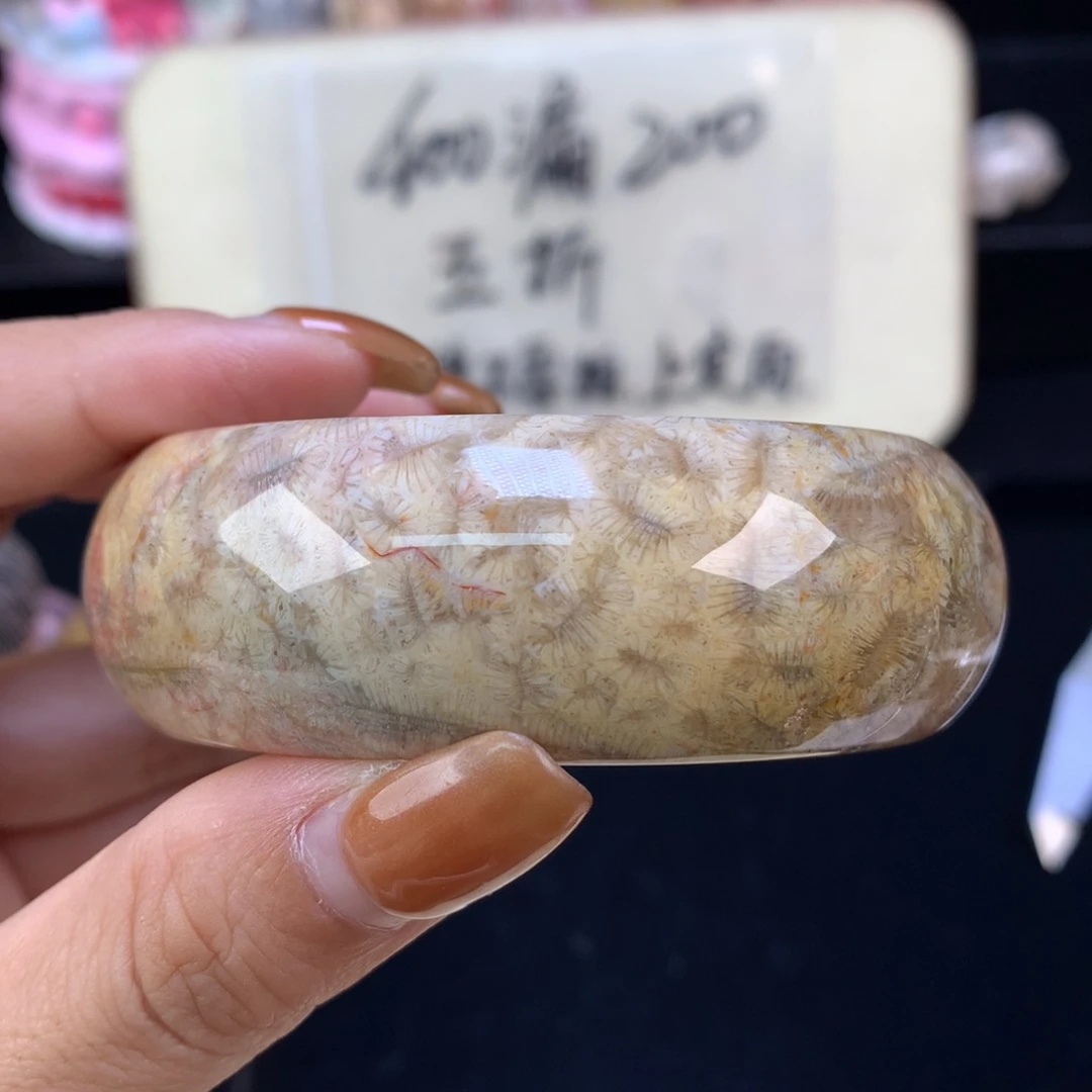 硅化珊瑚（珊瑚玉）未镶嵌颈饰五折精美手镯56.8口（58号）