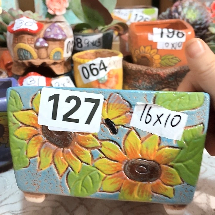 多肉花盆满15包邮