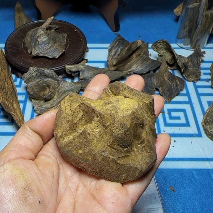 木质母树绿奇陆河包头28. 克