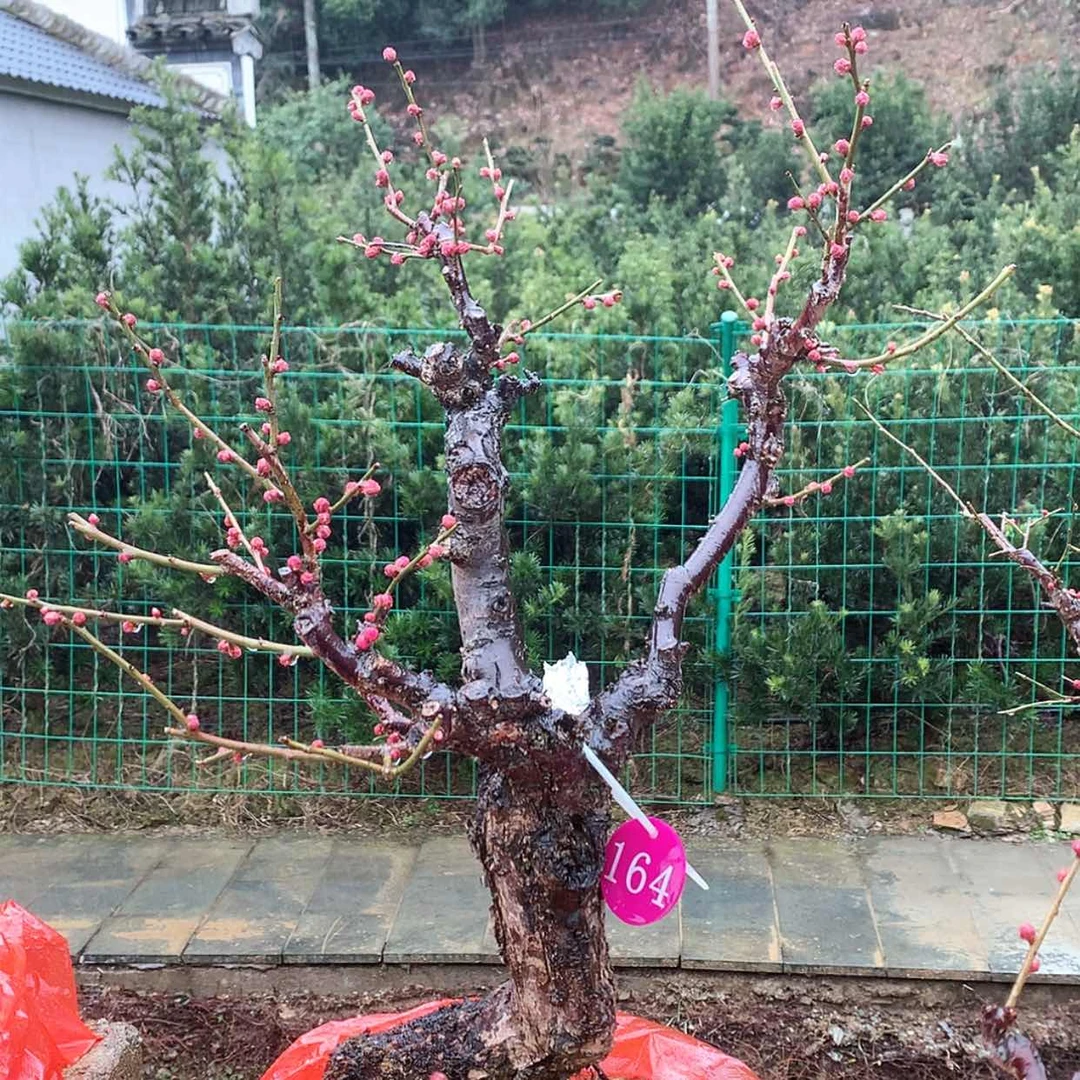 【闪购商品】1111111