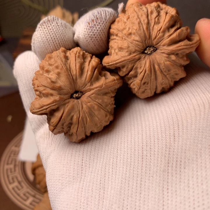 鑫***鑫木质类血麒麟122在此期间曾多次