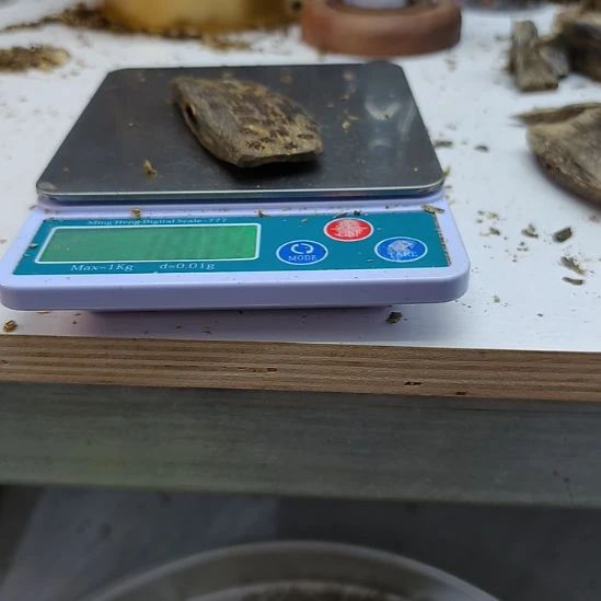 沉香沉香枕棋楠虫漏小料18克