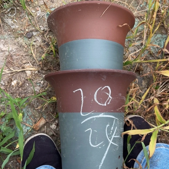 紫砂花盆紫砂的味道