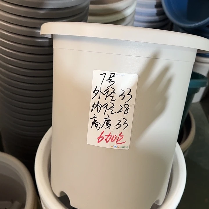 微瑕7#灰白6个无托