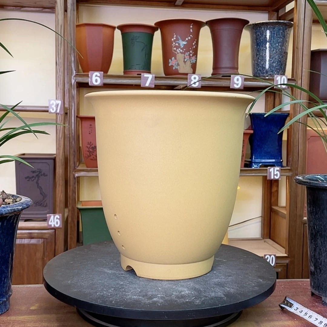 【闪购商品】紫砂花盆兰花55588566685254455