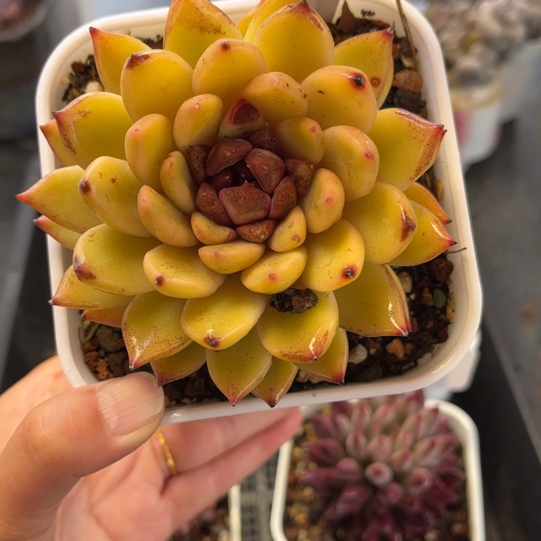 3010 满30包邮天冷地区必拍保温箱