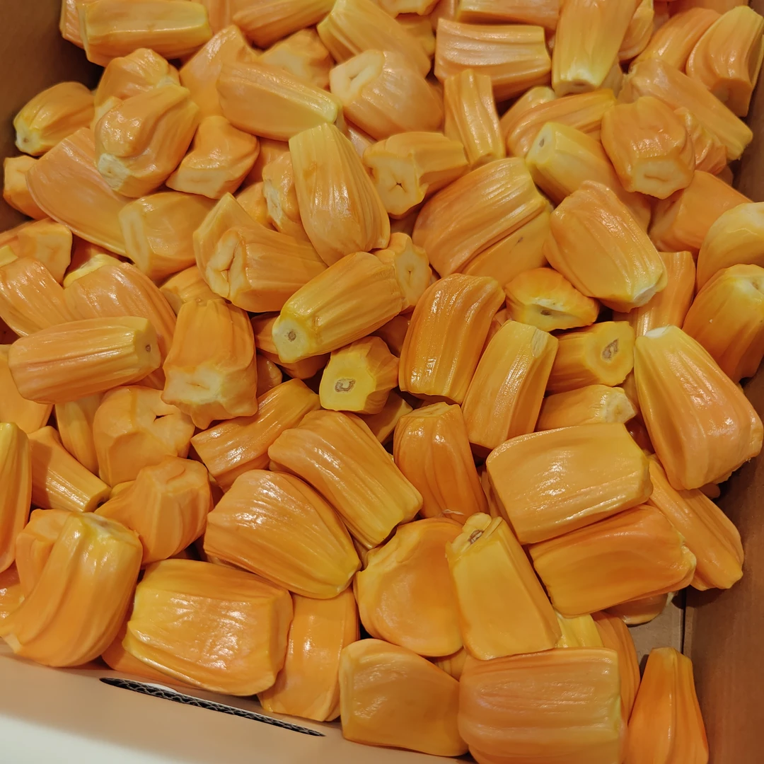 越南红肉菠萝蜜 900g/盒