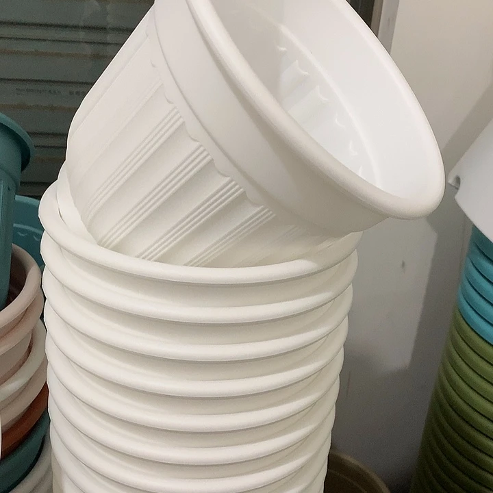 罗马口21高18白4个