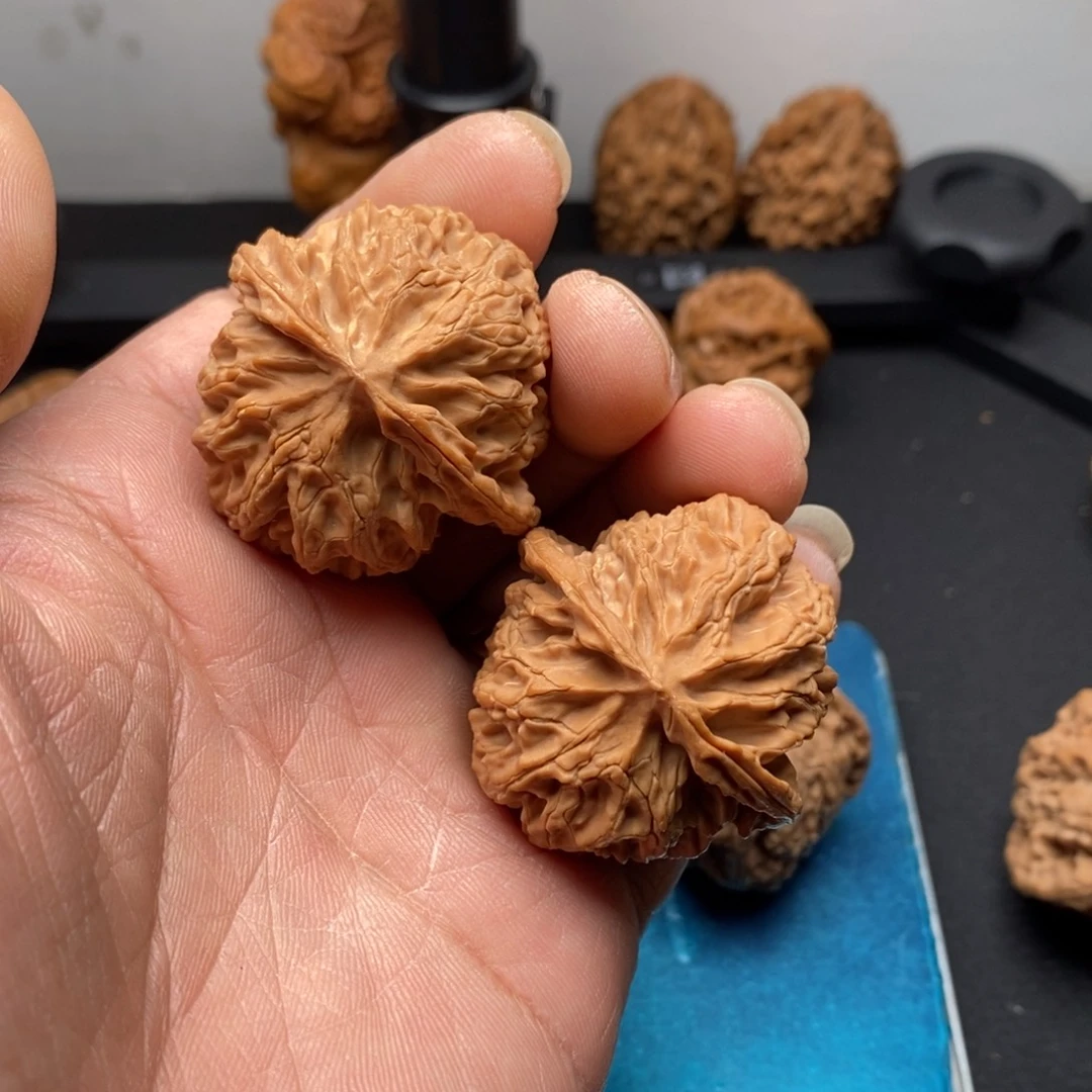 桃核把件文玩核头