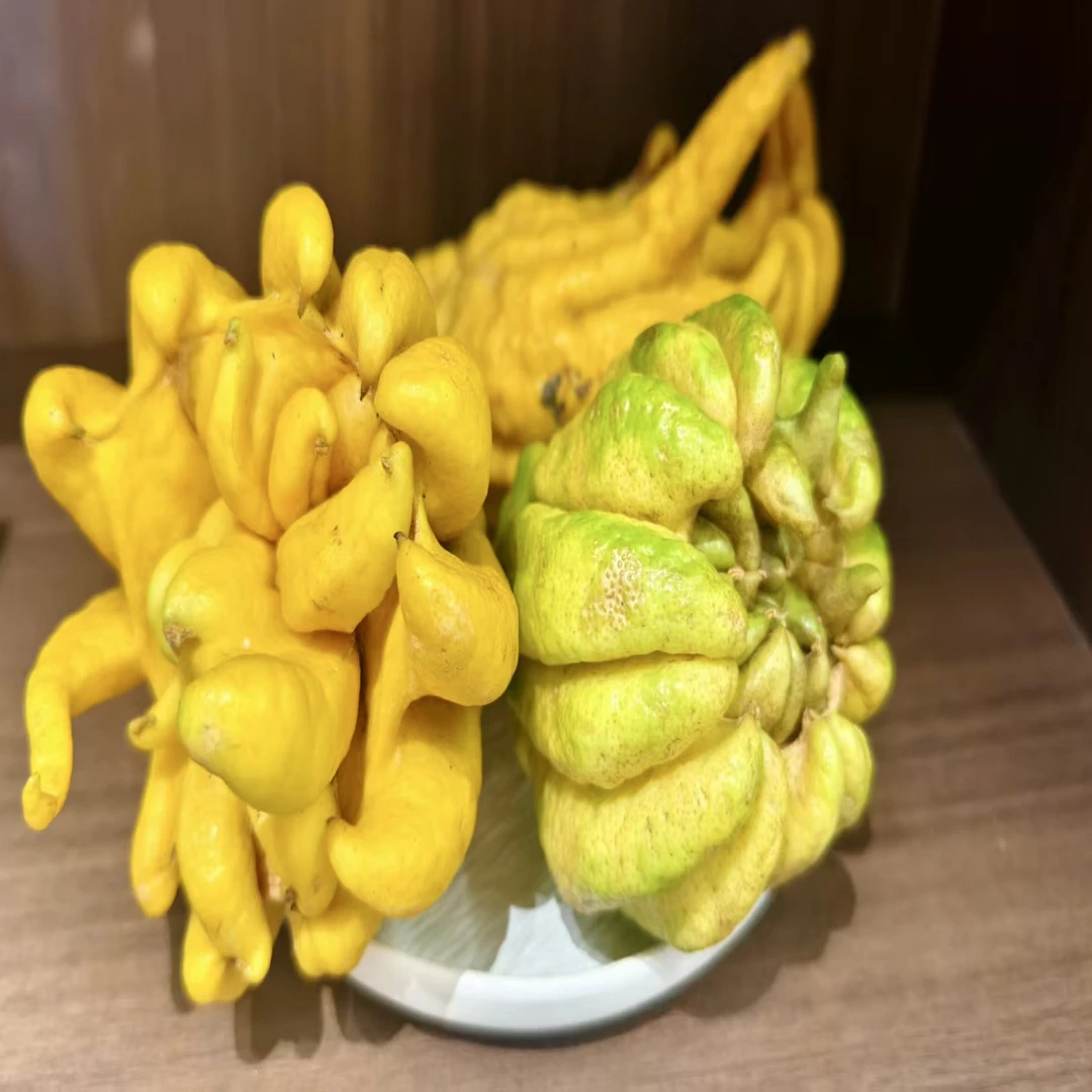 佛手柑   农家自种佛手柑    五指柑
