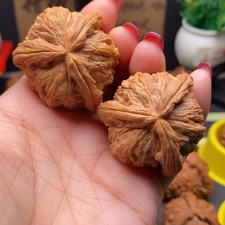 核桃40拼接白狮子