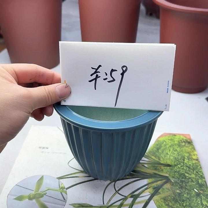 紫砂2233222222222223