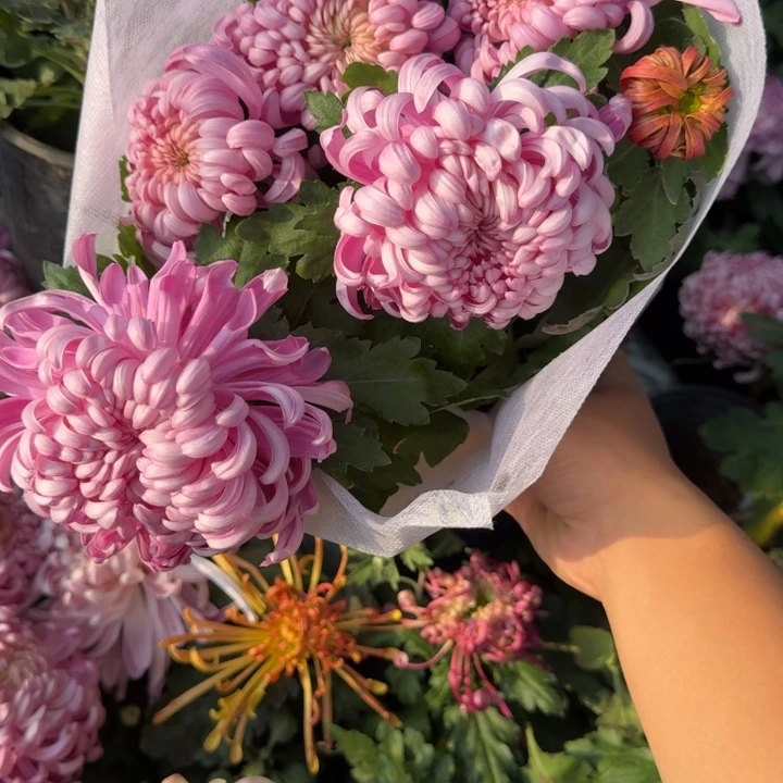 L***e完全开放圣光宝殿