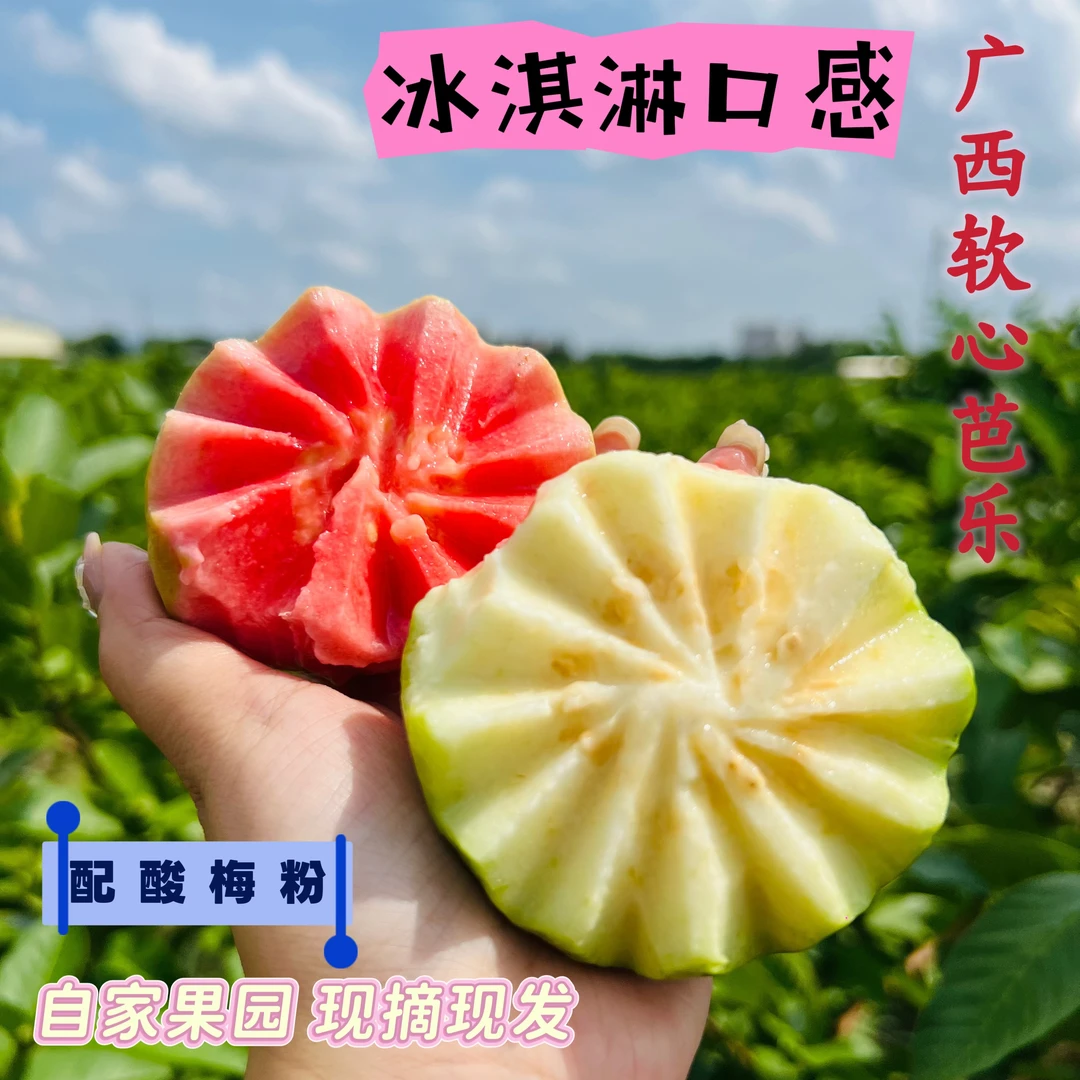 广西红心白心奶油芭乐软糯香甜低卡高维C应季水果现摘现发普邮