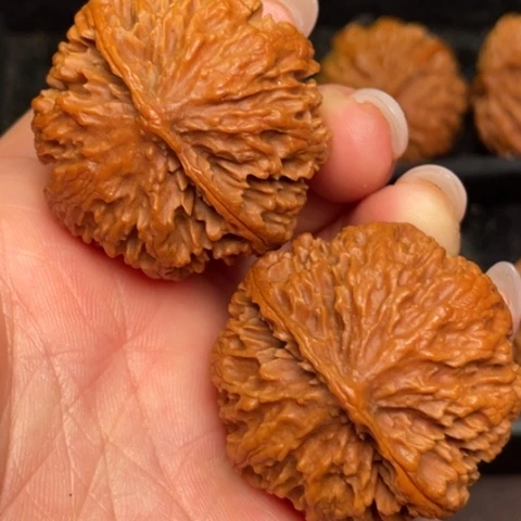 文玩核桃吊坠秦岭野生核桃