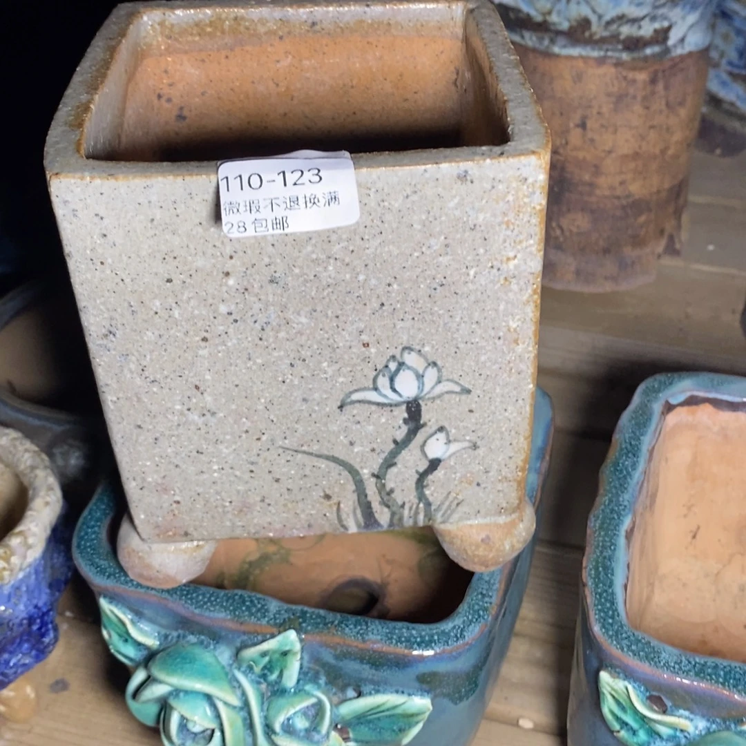 123号花盆内10高13.5