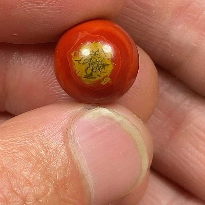 道***我南红玛瑙未镶嵌挂件