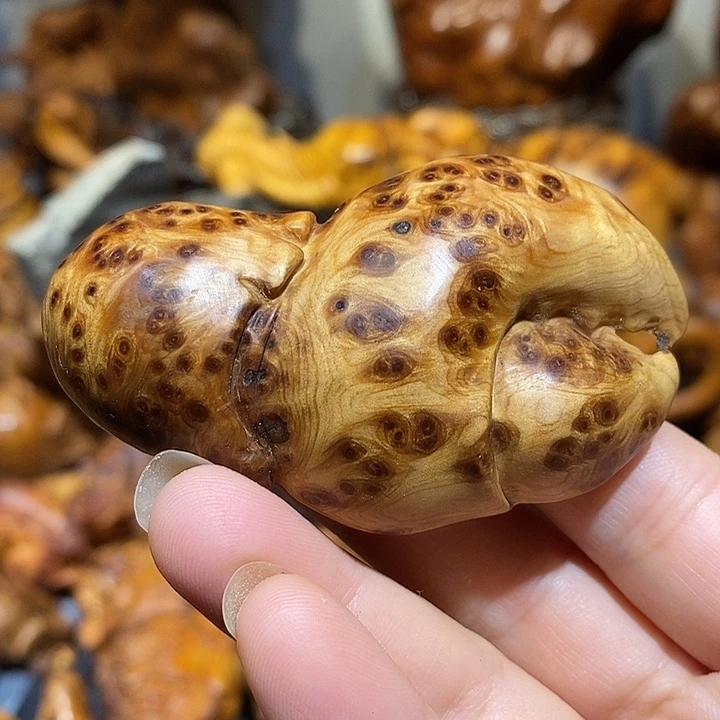 柏木太行崖柏陈化