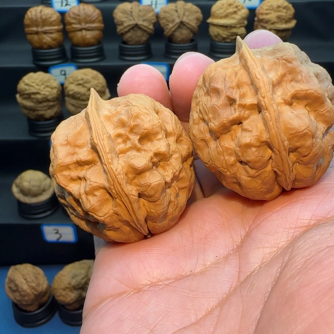 喜***L把件桃核七龙珠核桃