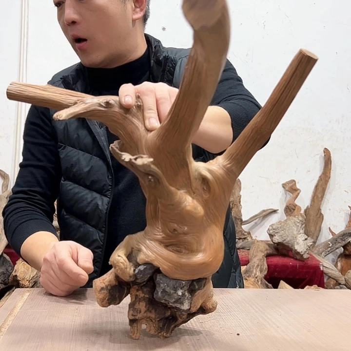 柏木贤我们都是好孩子呀我也是想