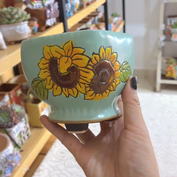 多肉花盆满15包邮