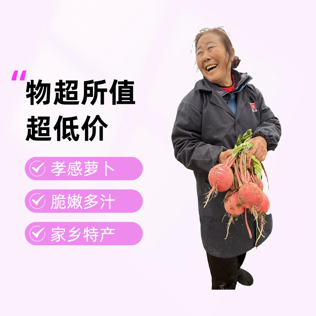 【朱湖长湾村】露天种植朱湖红皮水果萝卜