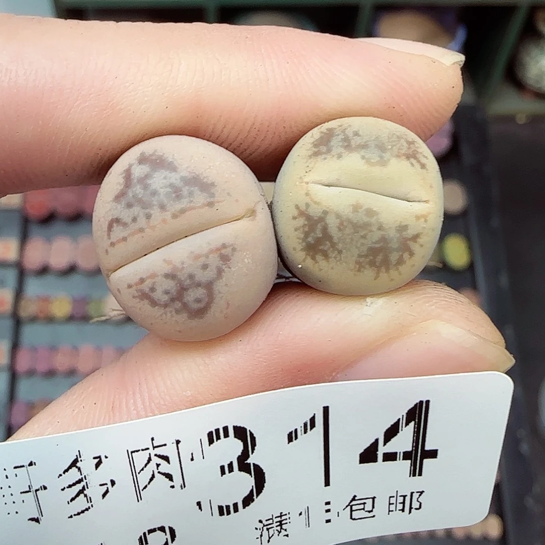 艾***兜满满18包邮1113-314