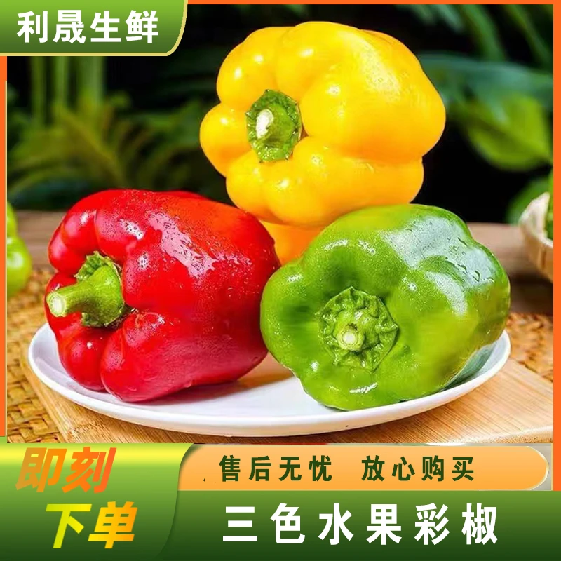 【小辣椒专属】山东寿光新鲜当季特色三色水果彩椒3斤