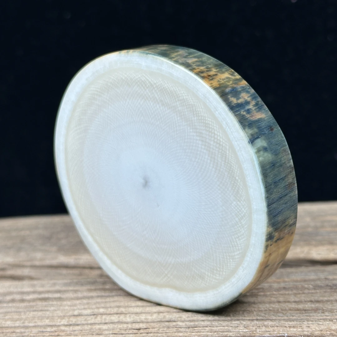 E3135天然猛犸牙 蓝皮牙饼子 65*12.5*13mm支持鉴定 假一罚四