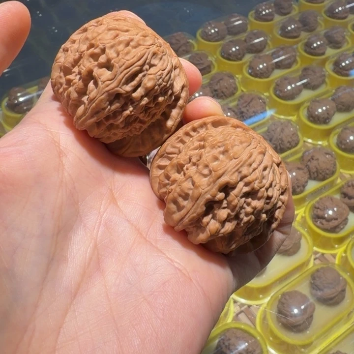 把件文玩核桃42白狮子