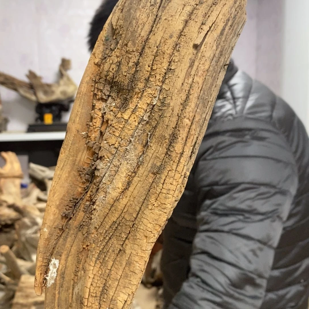 柏木水**家我们都是好孩子