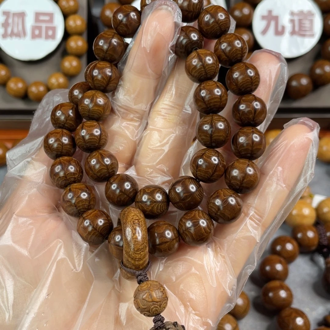 六道木枯树， 毕业1.2