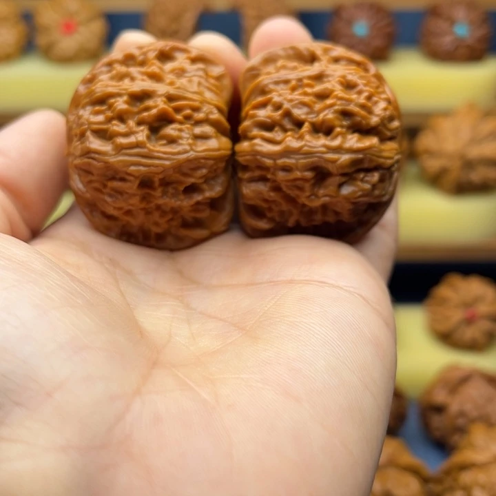 核桃44➕球白狮子头手工打底