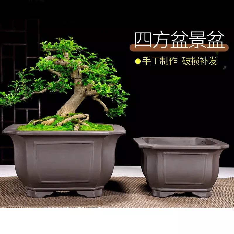宜兴正方形花盆紫砂盆景花盆室内造景盆栽榕树老桩花卉四方陶瓷盆