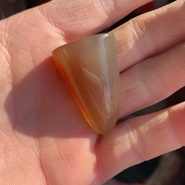 风***色杂色豆（科檀/科特迪瓦檀木）