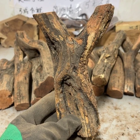 大果紫檀（缅甸花梨）淡**尘