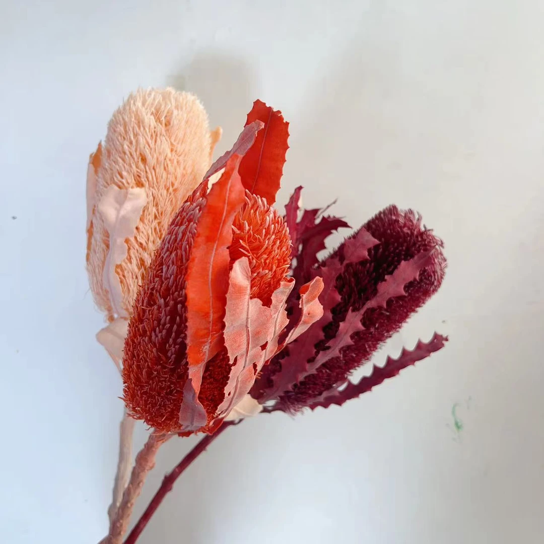 一花一木 进口花材【永生佛塔】 可做干花 昆明基地直发 顺丰包邮