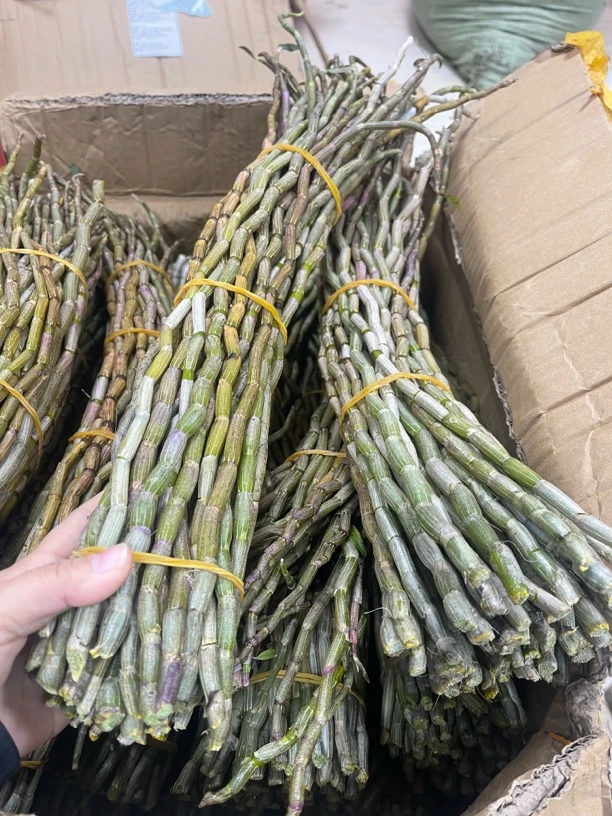 5年上铁皮石斛长条500克起