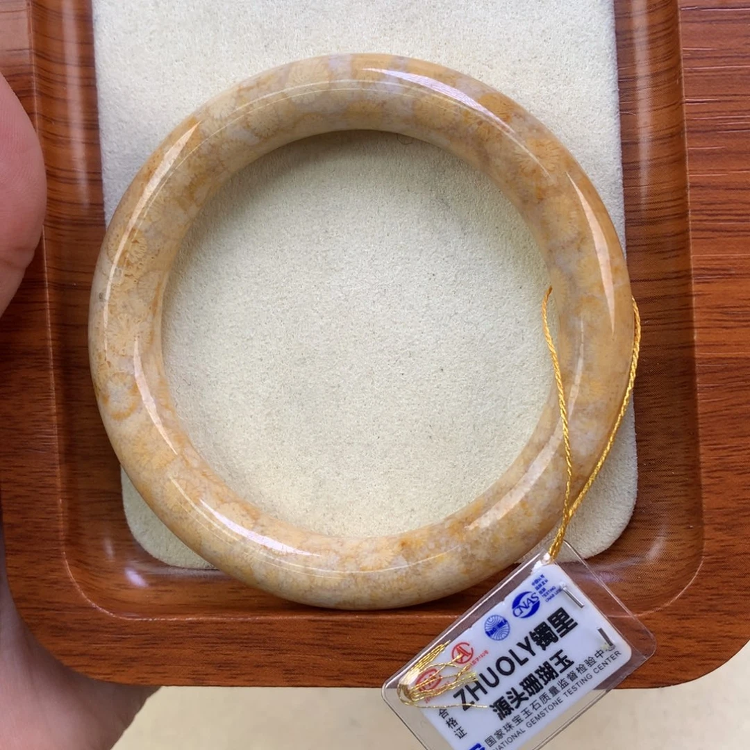 硅化珊瑚（珊瑚玉）未镶嵌吊坠(赠链)（19号）五折手镯53圈