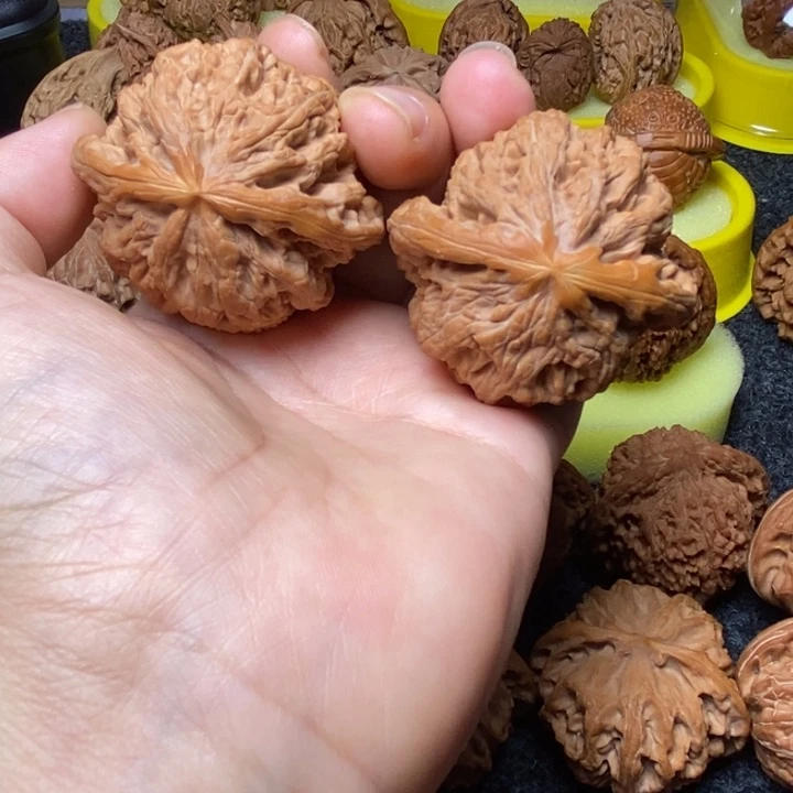 文玩核桃把件大粗筋