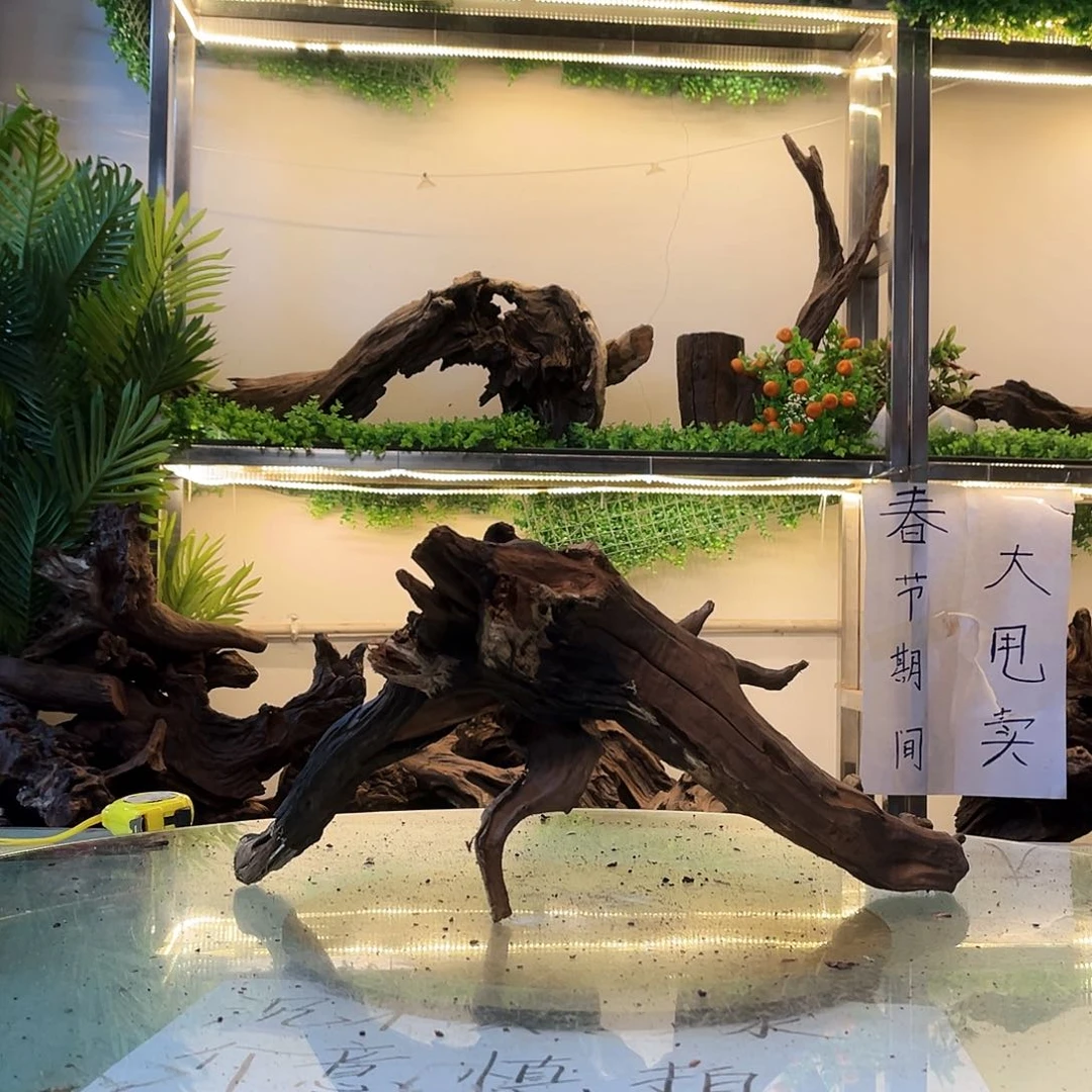 柚木明***友沉木鱼缸造景