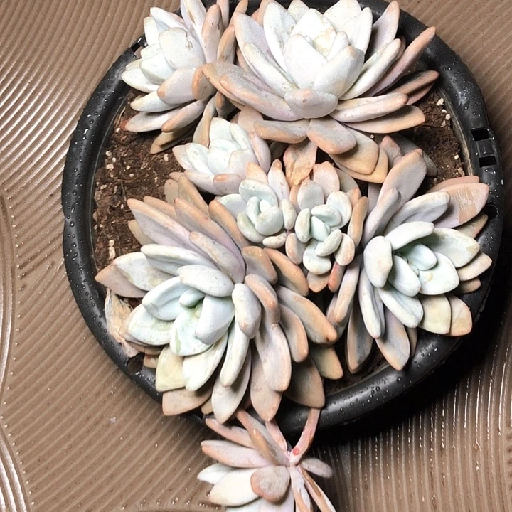 清****478////////////////